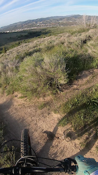 Ritalin Trail
