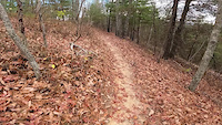 Must Watch Video