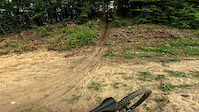 Into the bushes