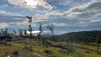 Svartdalsåsen
