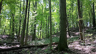 Mead Flow trail
