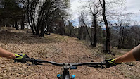 Lower Indian Falls Ridge Trail