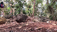 Rock Drop