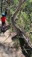 Otis on Kids MTB trail