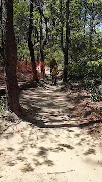 Family on Kids MTB trail