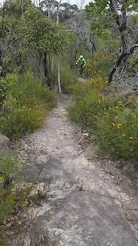 Roman Trail