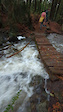 River runs through it