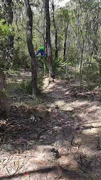 Roman Trail Switchback