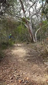 Roman Trail