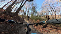 Trash Panda Crash