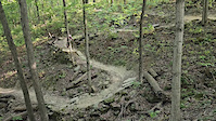 Bobcat bites back