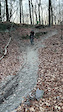 Global Fat Bike Day Ride