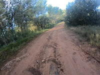 Cadireta full