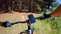 Wakefield Park MTB trail - Poo pines