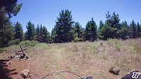 Double Jab MTB trail - Poo Pines