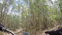 Flying Mullet MTB Trail - Mogo MTB trails