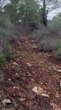 Another crash for Friday fails