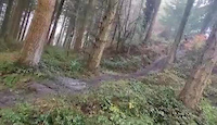 Head Meets Tree