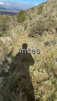 Antes y después de la Z
