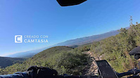 senda coll de palmera