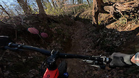 A pedal to the tree will beat any brakes