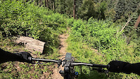 Cabin Loop - Mogollon Rim, AZ