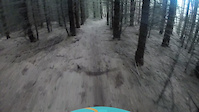 Snakebite - first run