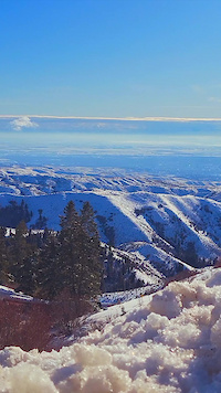 Riding A Mountain Bike Through Snowy Trails Is...