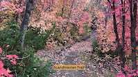 Scandinavian Autumn Ride
