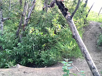 Solo ride l Cellphone edit
