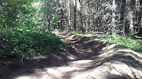 Pittock Trail gap jump