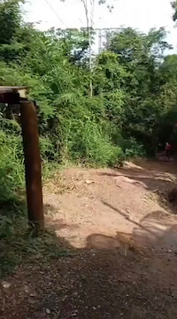Must Watch Video