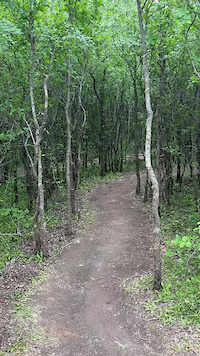 Arbor Hills MTB Trail
