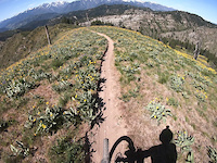 Epic Xanadu Run but walked a spot.