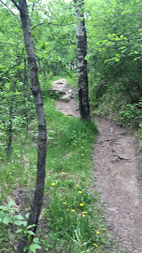 The Rock Drop