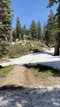 Stinger Condition Report on 5/9/25