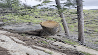 Super Connected Slab