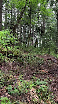 Optional jump and rock features