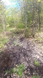 main trail