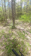 main trail x scenic route 'exit'