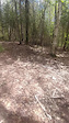 main trail fork