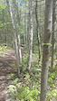 main trail markings