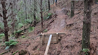 wingman gap