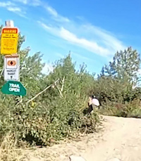 Fast trail in Winsport