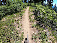 Nason Ridge East Descent 4400’ to 3200’