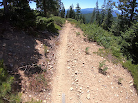 Nason Ridge East 3400’ to the East Trailhead