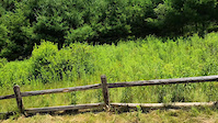 Palgrave Finnerty North Entrance