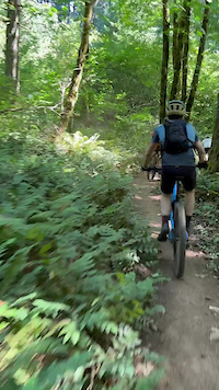 Diluvian Loop counter clockwise