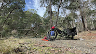Tree Clearing - Indigo Shire Council
