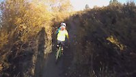 Pedal Strike